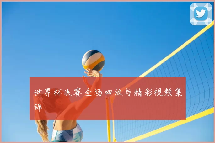 世界杯决赛全场回放与精彩视频集锦