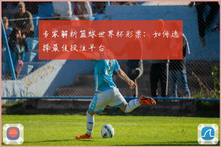 专家解析篮球世界杯彩票:如何选择最佳投注平台