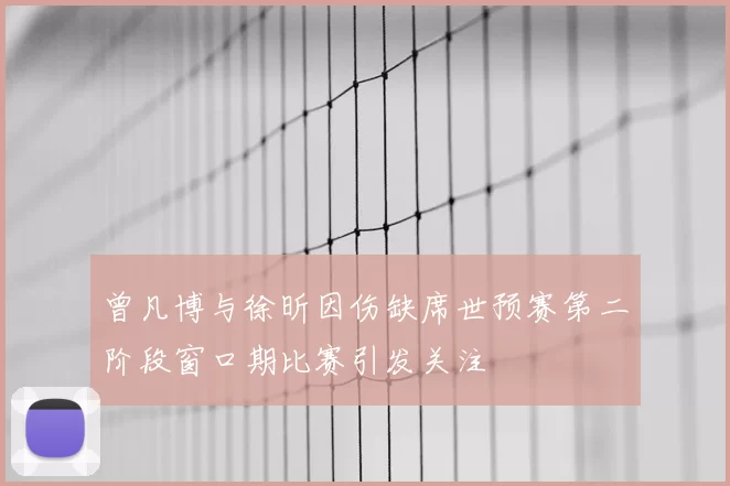 曾凡博与徐昕因伤缺席世预赛第二阶段窗口期比赛引发关注