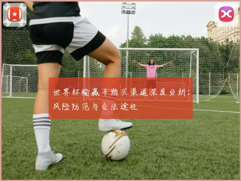 世界杯输赢卡购买渠道深度分析：风险防范与合法途径