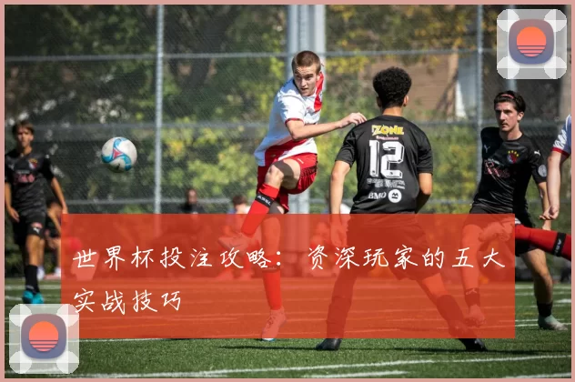 世界杯投注攻略:资深玩家的五大实战技巧