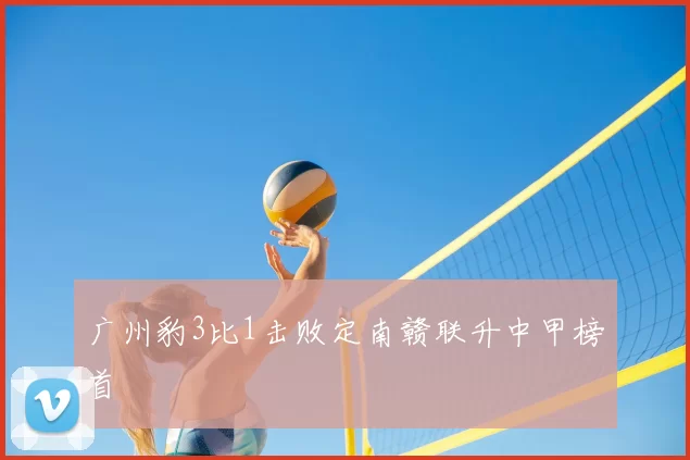 广州豹3比1击败定南赣联升中甲榜首
