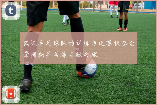 武汉乒乓球队的训练与比赛状态全景揭秘乒乓球巨献之旅