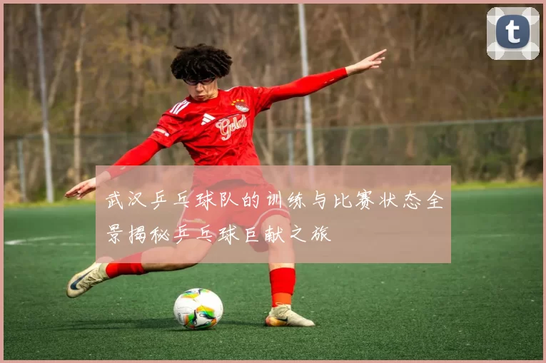 武汉乒乓球队的训练与比赛状态全景揭秘乒乓球巨献之旅