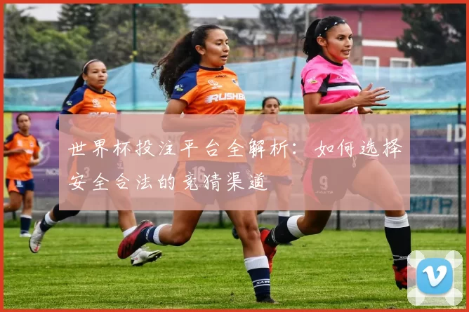 世界杯投注平台全解析:如何选择安全合法的竞猜渠道